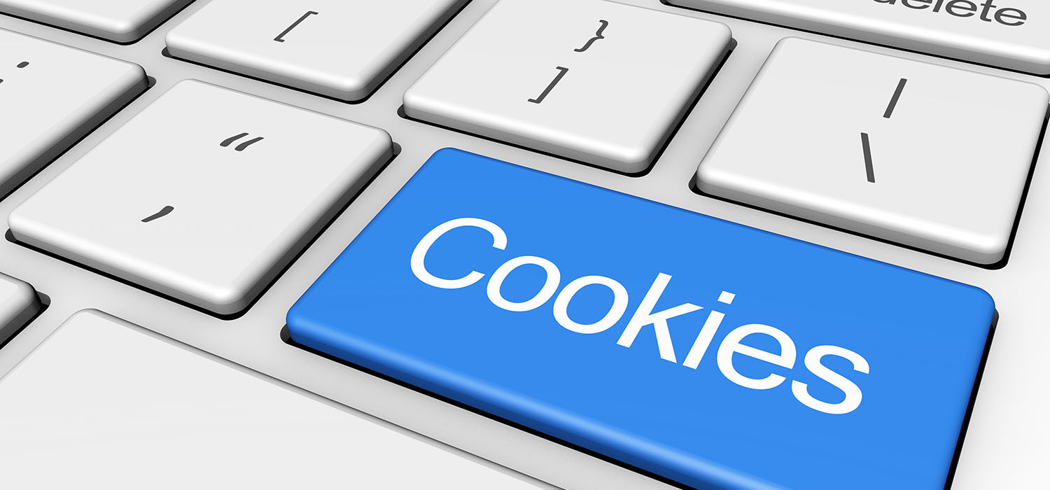 WEBSITE COOKIE POLICY FOR THE SEA GULL INN