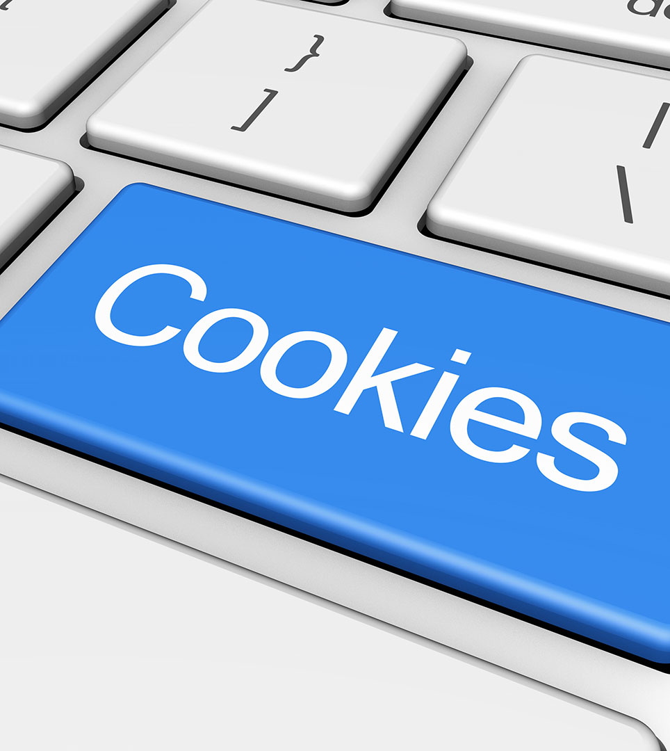 WEBSITE COOKIE POLICY FOR THE SEA GULL INN